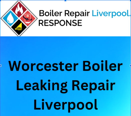 Worcester Boiler is Leaking Water